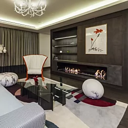 XL900 Ethanol Burner