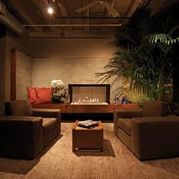XL900 Ethanol Burner