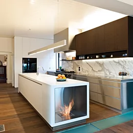 Firebox 650SS Fireplace Insert