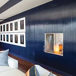 Firebox 650DB Fireplace Insert