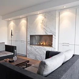 Firebox 1200SS Fireplace Insert